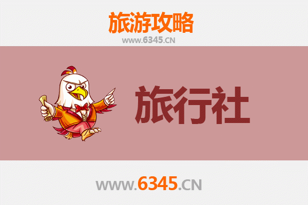 西宁城中本地旅行社推荐：高原古城深度游指南